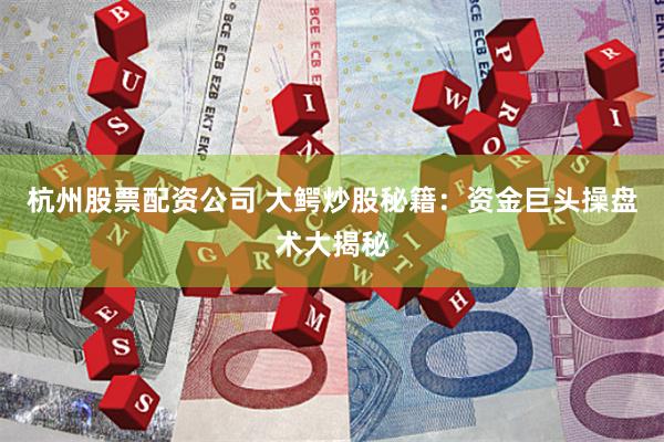 杭州股票配资公司 大鳄炒股秘籍：资金巨头操盘术大揭秘