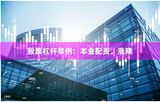 股票杠杆举例：本金配资，涨赚