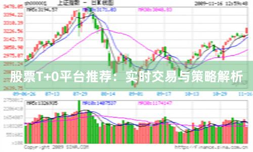 股票T+0平台推荐：实时交易与策略解析